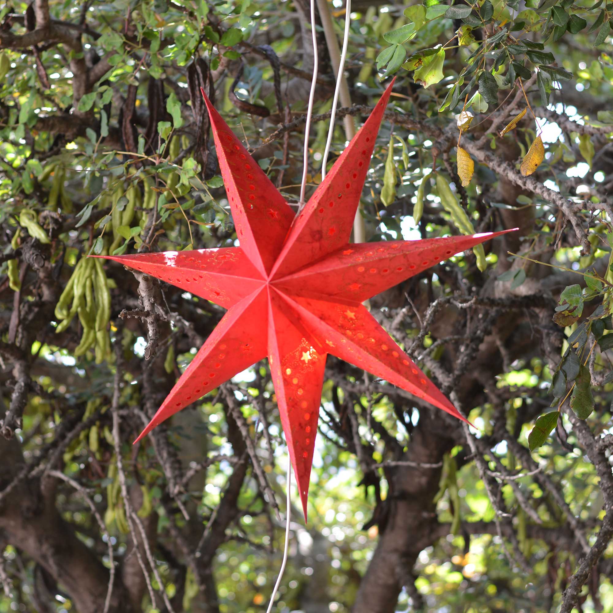 Venezia Star Paper Lamp Red